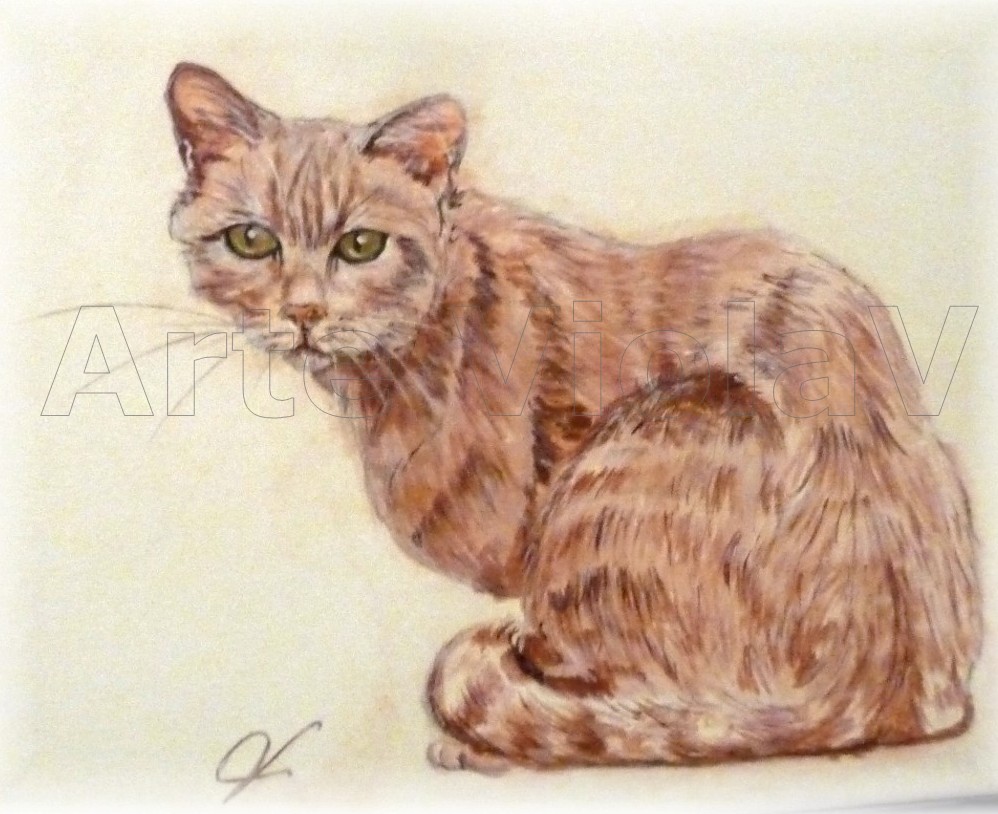 gatto rosso ritratto dipinto di Violetta Viola Arte ViolaV